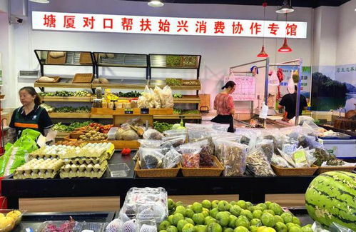 韶關始興百種優質農副產品直達東莞塘廈，打開食品銷售新篇章