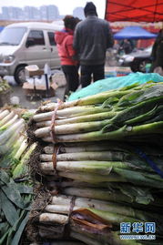 追蹤瘋狂的大蔥 經銷商囤貨獲利千萬背后