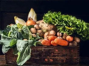 政策助力鄉村振興 三部門聯合發布方案鼓勵政府采購貧困地區農副產品